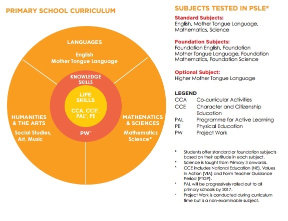 Primary school curriculum