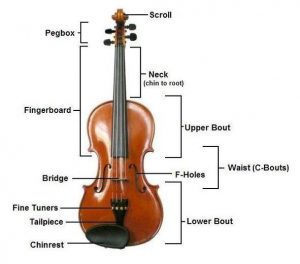 Violin Construction - WIKI